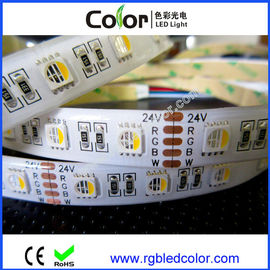 Chine Le rgbw de smd de l'intense luminosité 60led/m DC12V 24V 5050 a mené la bande fournisseur