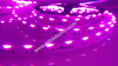 Chine le câble multicolore mené de émission latéral de la lumière de bandes de RVB 5m 300led 14.4w a mené la lumière de bande fournisseur