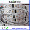 Bande accessible commandée individuelle de DC5V 60led/m UCS2912 RGBW LED fournisseur